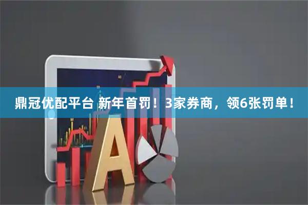 鼎冠优配平台 新年首罚！3家券商，领6张罚单！