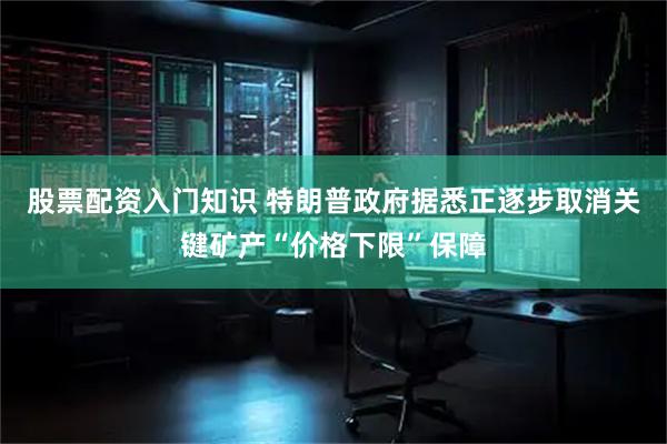 股票配资入门知识 特朗普政府据悉正逐步取消关键矿产“价格下限”保障